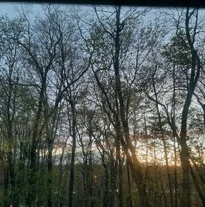 Meet your Posher, Junior